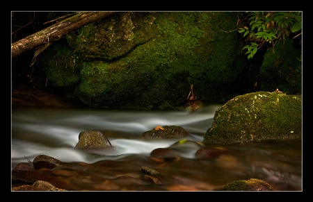 Mountain Stream