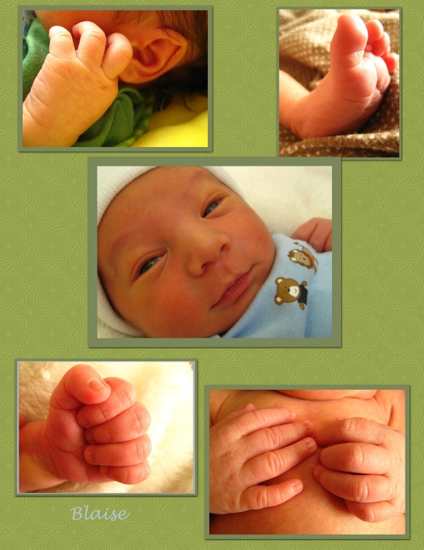 Blaise newborn collage