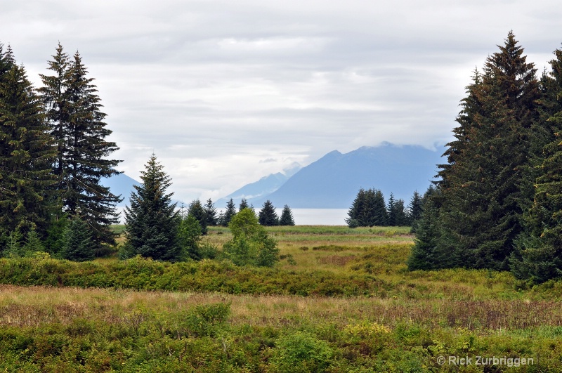 Alaska Meadow