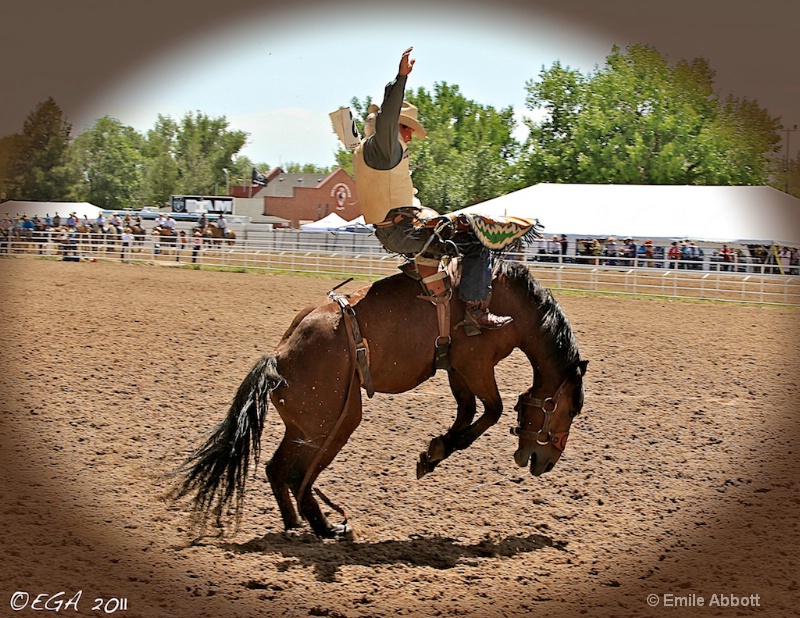 Ride'm Cowboy - ID: 12233834 © Emile Abbott