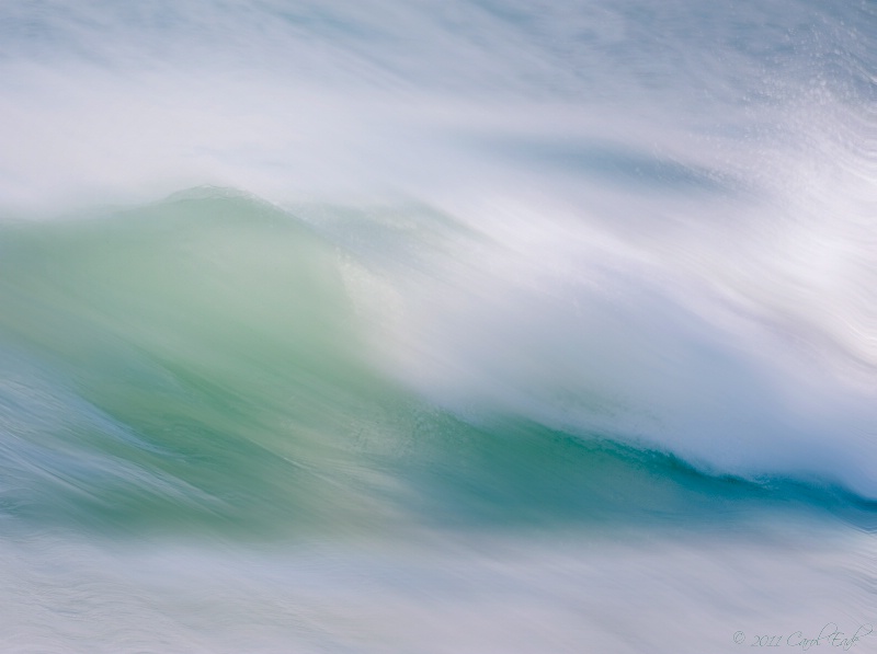 Wave Curl - ID: 12235602 © Carol Eade