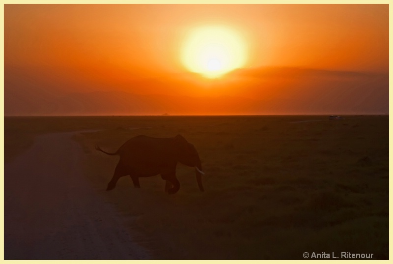 Elephant and Amboseli Sunset