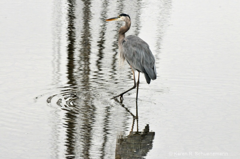 Patterns with Heron