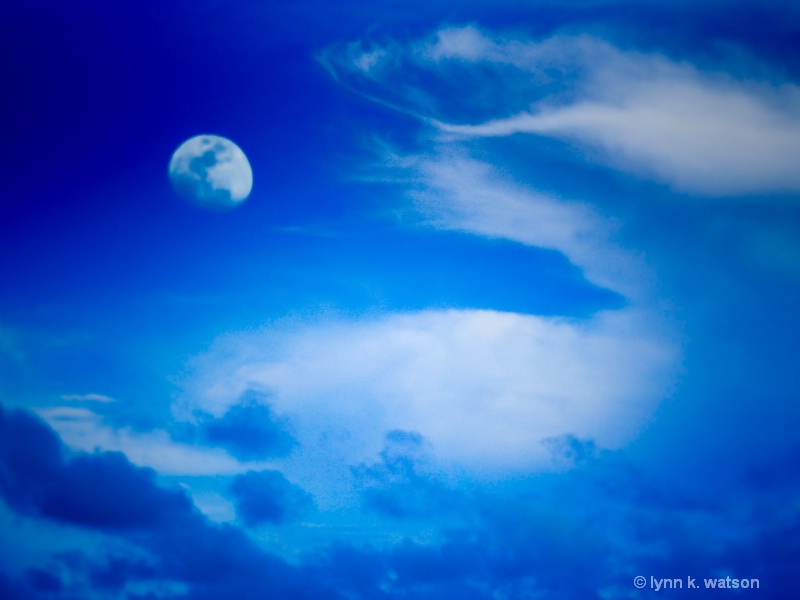 Blue Hawaii Moon