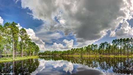 <b>Florida's Mountains</b>