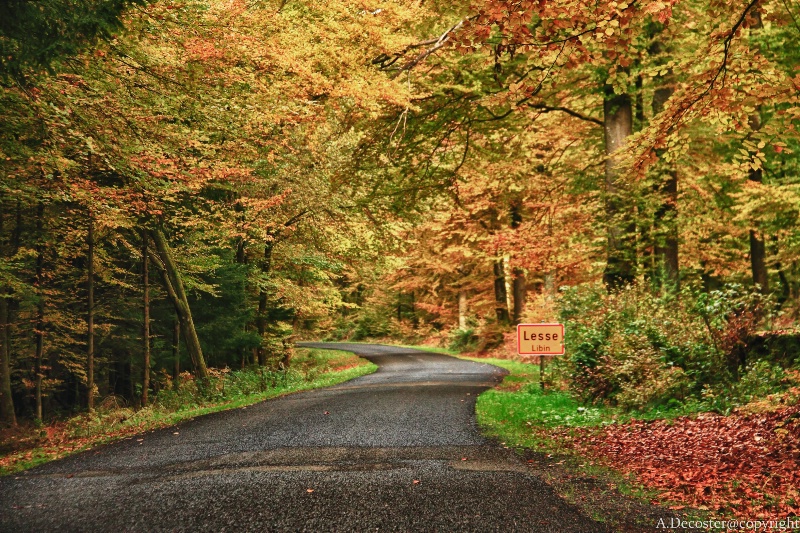 autumn on the road