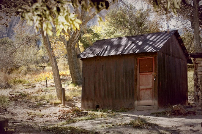 A lonely old shed