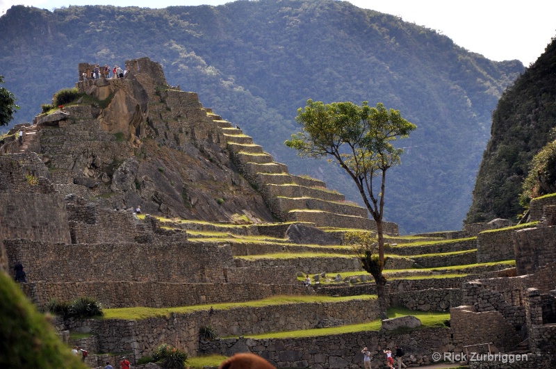 Machu Picchu, Peru - ID: 12241147 © Rick Zurbriggen