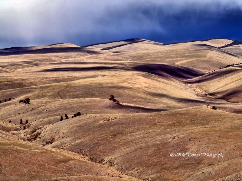 Mountain Pass 