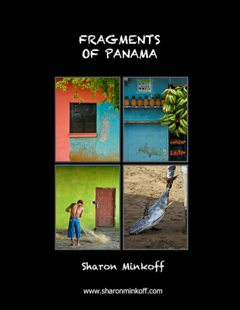Fragments of Panama