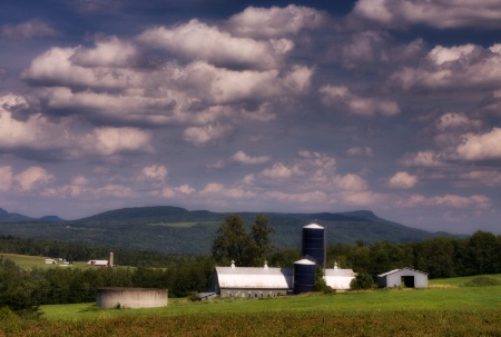 Vermont Farms