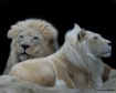Warmhearted