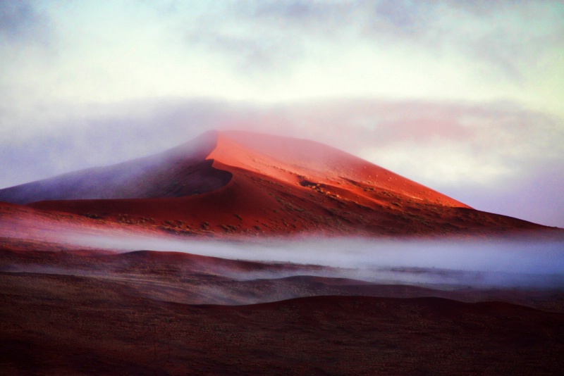 Fog on the Dune - ID: 12251349 © Martha Chapin