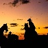 © Emile Abbott PhotoID # 12251957: Cowboy Silhouettes at predawn