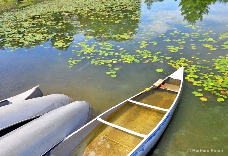 Four on the Lake