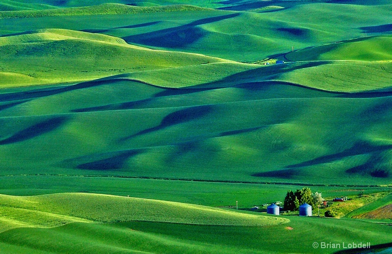 Emerald Hills of the Palouse