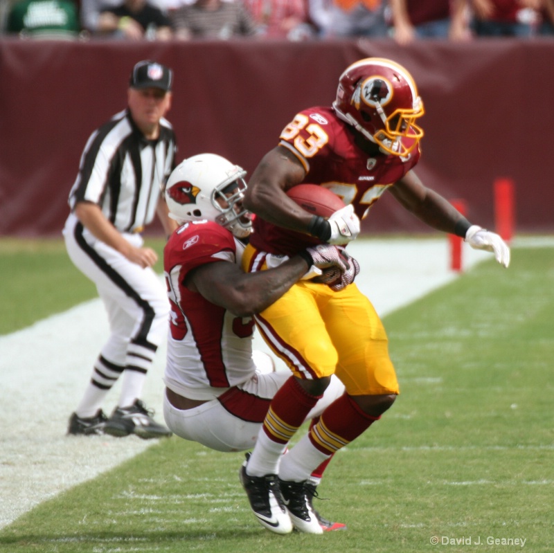 reception by Redskins Tight End Fred Davis