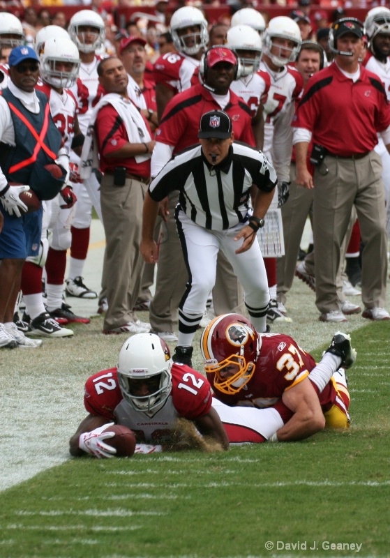 Redskins Reed Doughty tackles Roberts