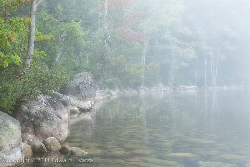 Foggy Morning on Long Pond