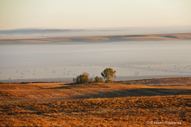 Early Morning Autumn Mist in Valley