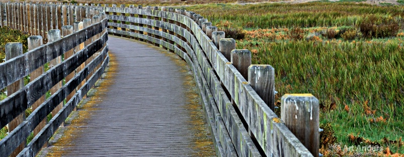 wetlands walkway