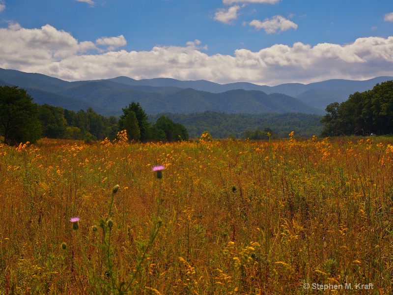 Cades Cove