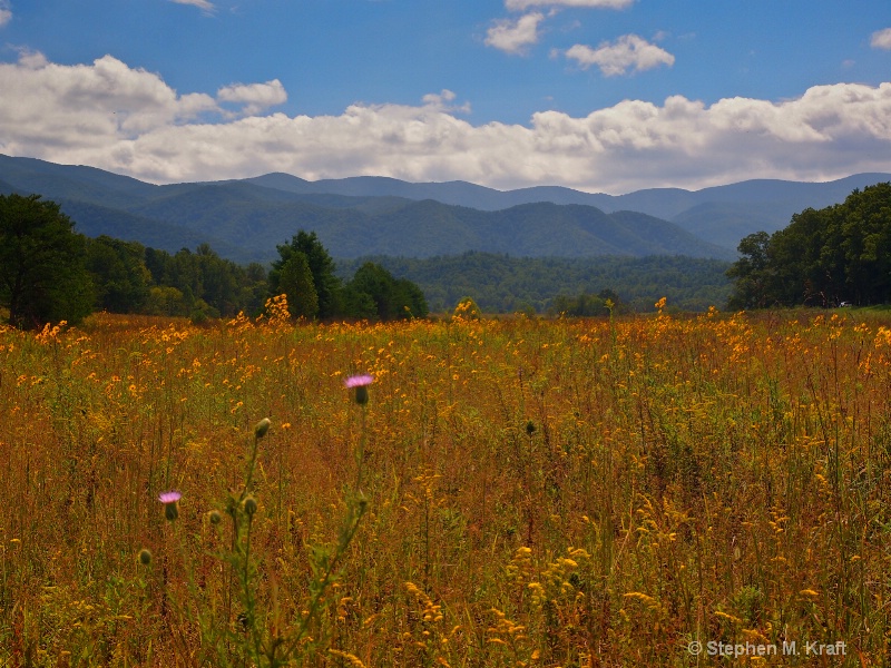 Cades Cove