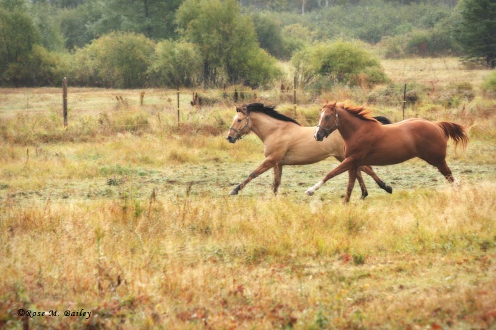 Running In Tandem