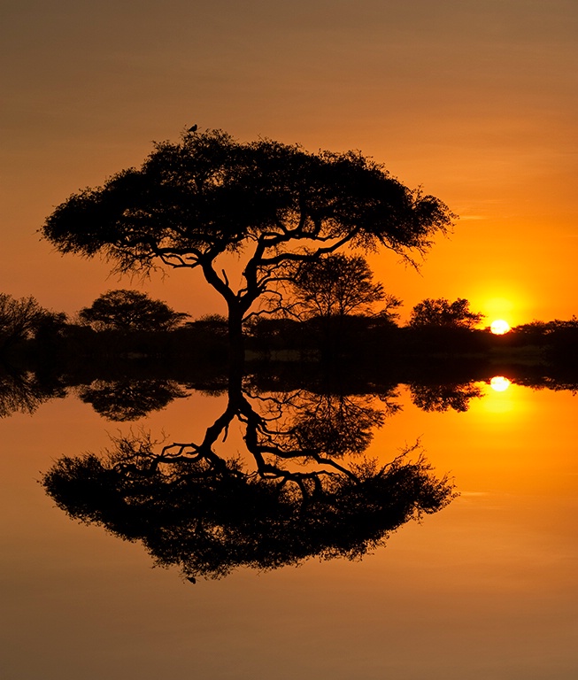Serengeti Sunrise With Reflection