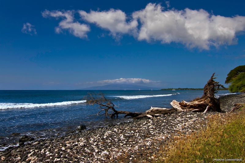 Rocky Shores