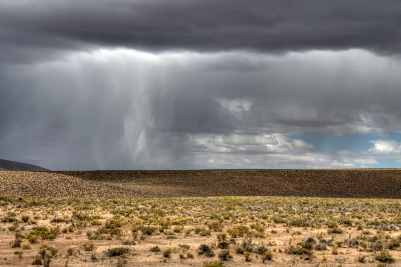 rain in the desert