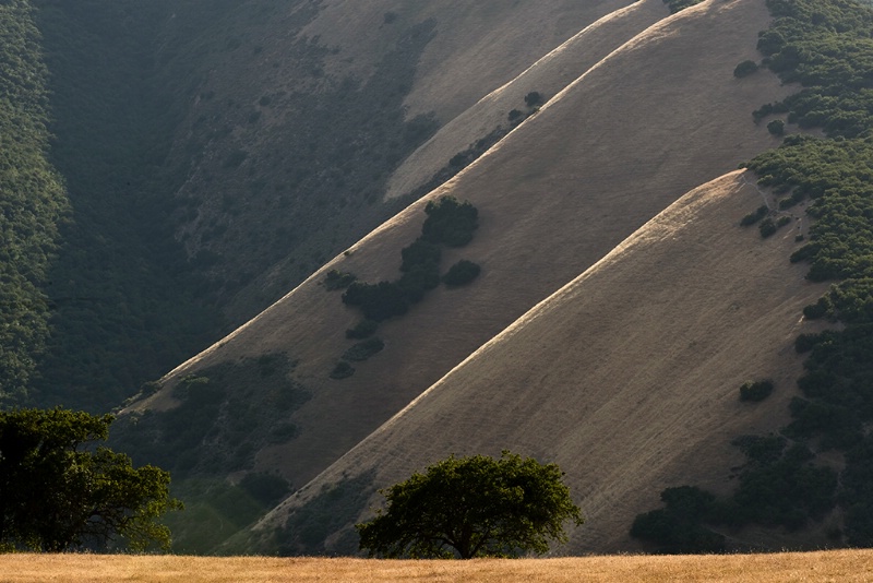 Hills In Carmel Valley