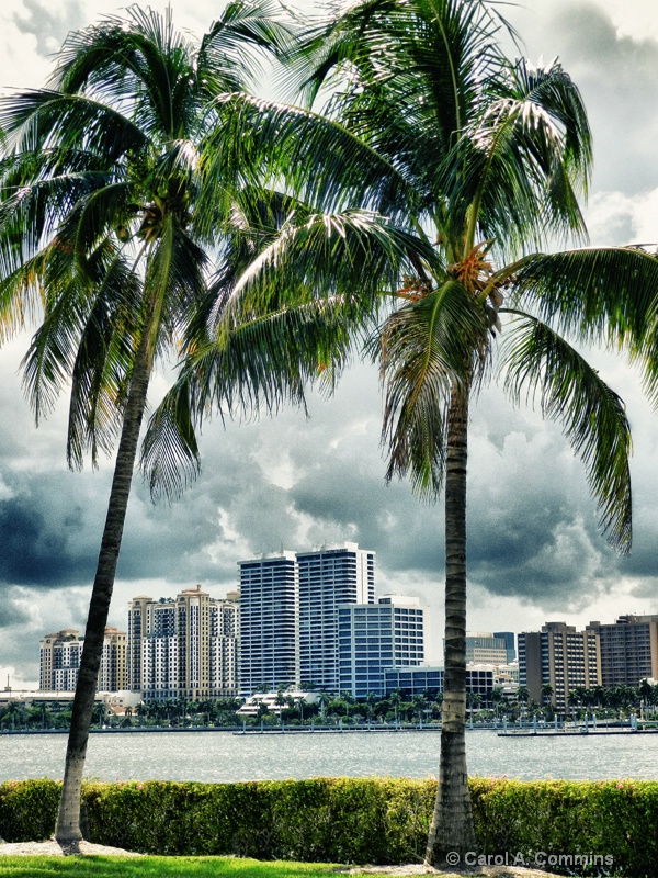 Palm Beach Skyline