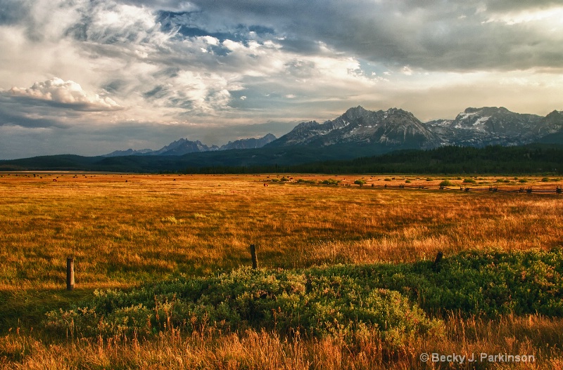 High Mountain Autumn