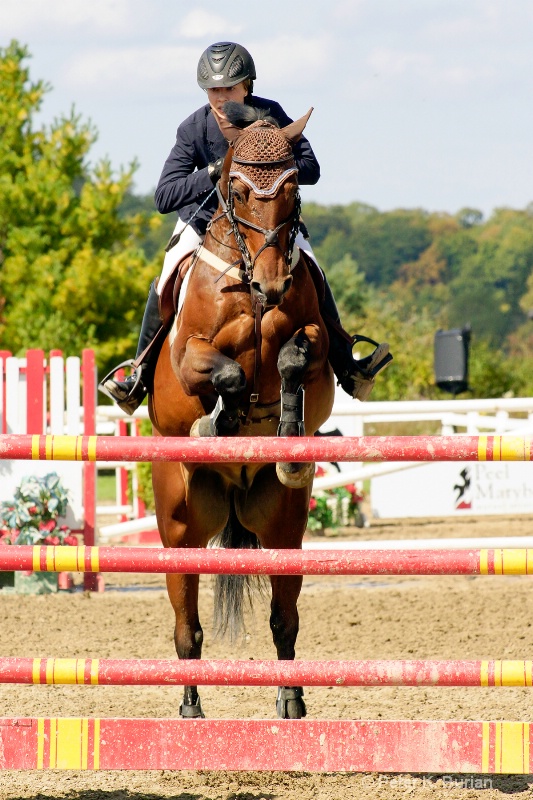 Horse jumping event