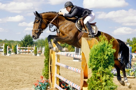 Horse jumping event