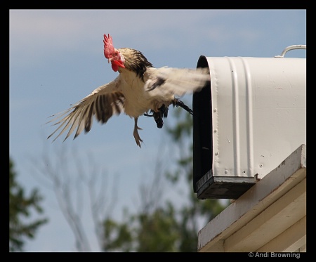 Air Mail