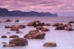 Lobster Cove