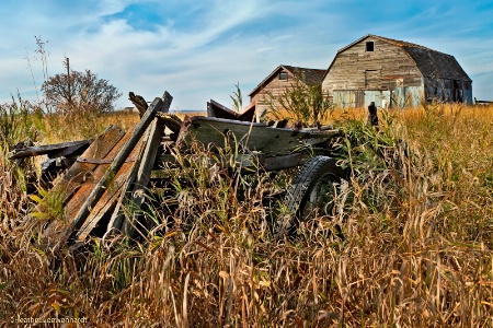 Remnants of the Prairie
