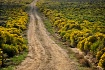 Road to Anywhere