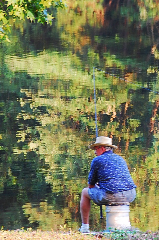 Reflections on Fishing