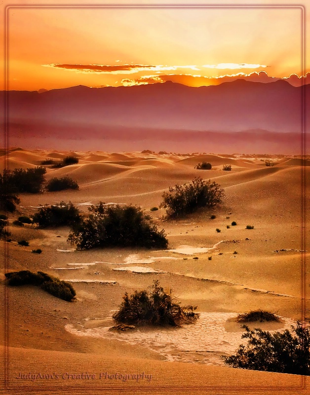 I Left My Heart in Death Valley - ID: 12279866 © JudyAnn Rector