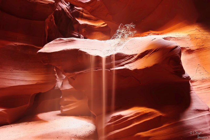 Slot Canyon 36