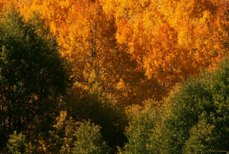 September Colors in Divide, CO