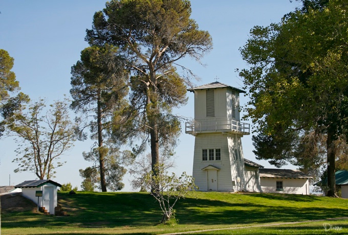 Late afternoon at the park