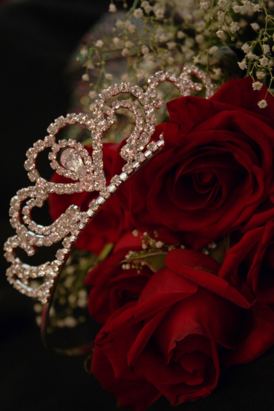 ~Roses and a Tiara~