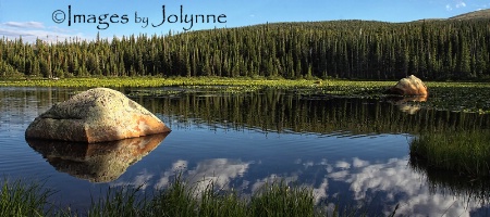 Lily Pads on Red Rock Lake