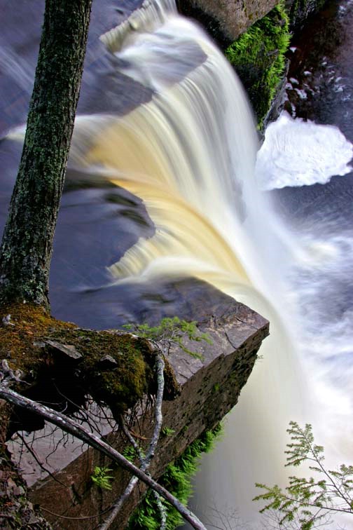 Uprooted, Yet Still Flowing - ID: 12290744 © Stacey J. Meanwell