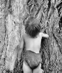 Tree Hugger