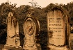 Forgotten 